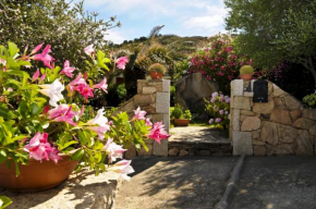 Bandi House San Teodoro